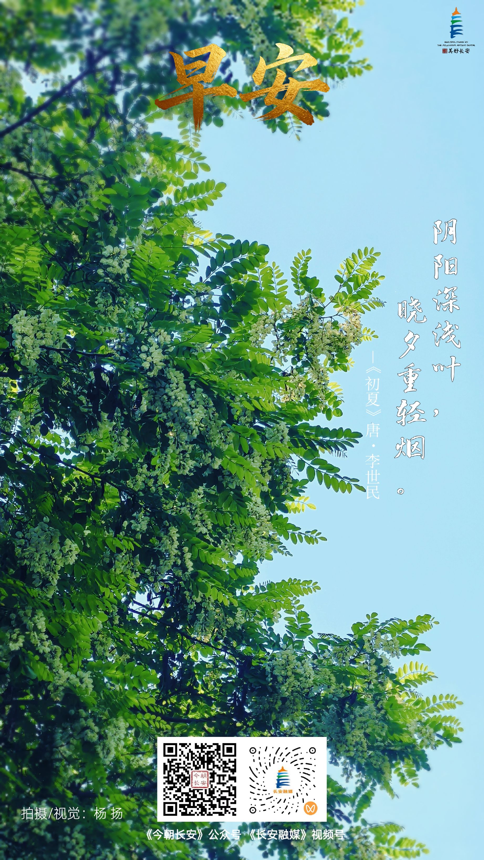 BigBull_微信图片_20260506093502_303_354.jpg