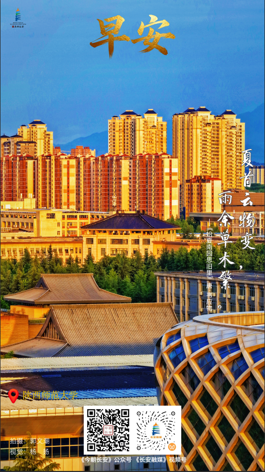 c3e54587-257c-4c65-8fab-2acf0e420a06.png