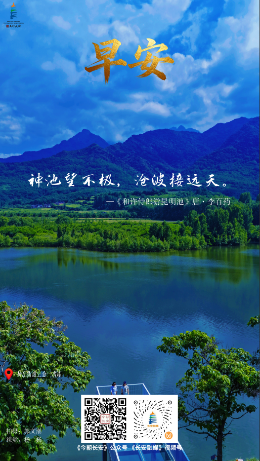 877eb697-b7cd-464e-8588-7a541380f467.png