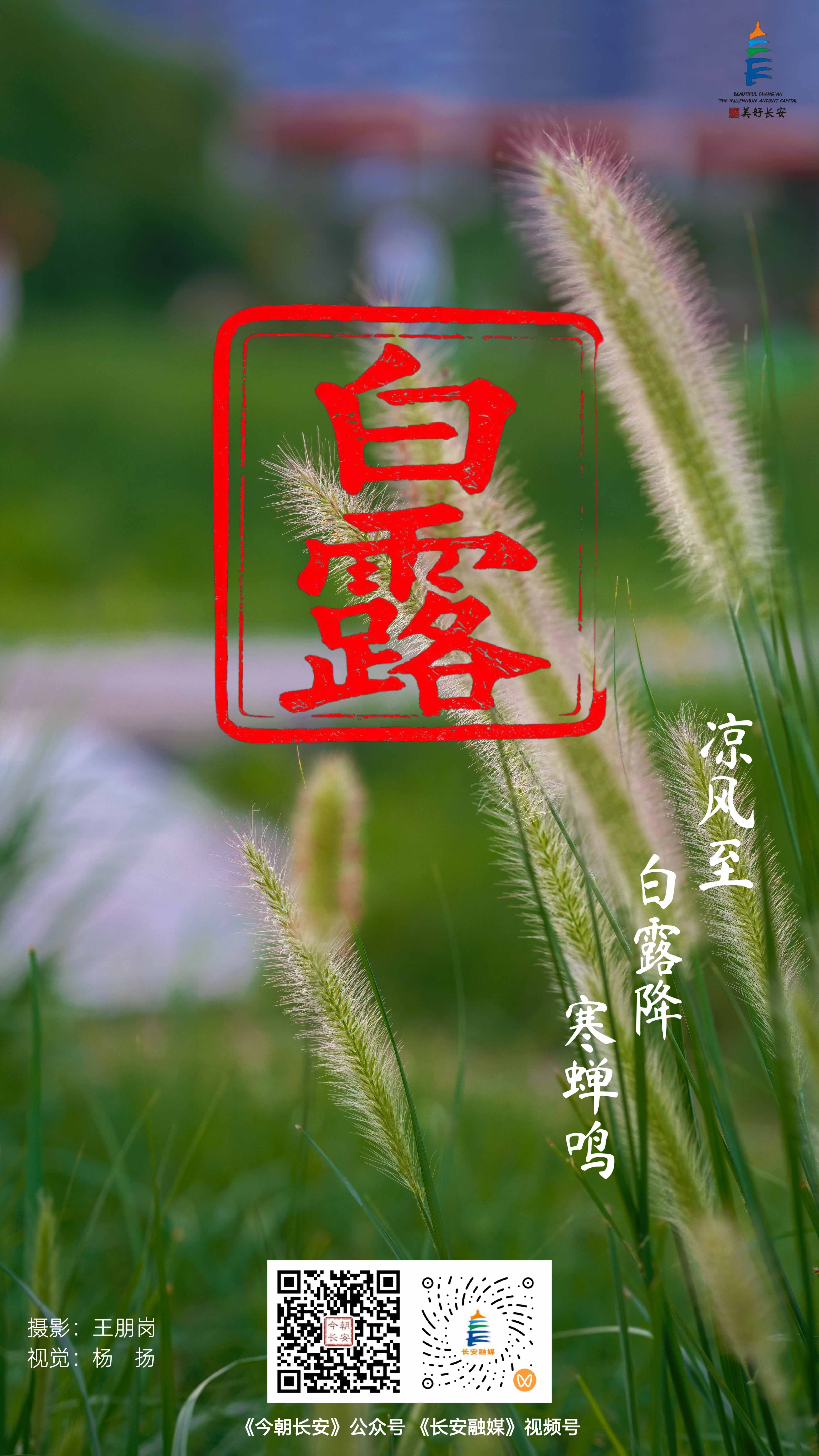 微信图片_20260907083438_9_2--.jpg