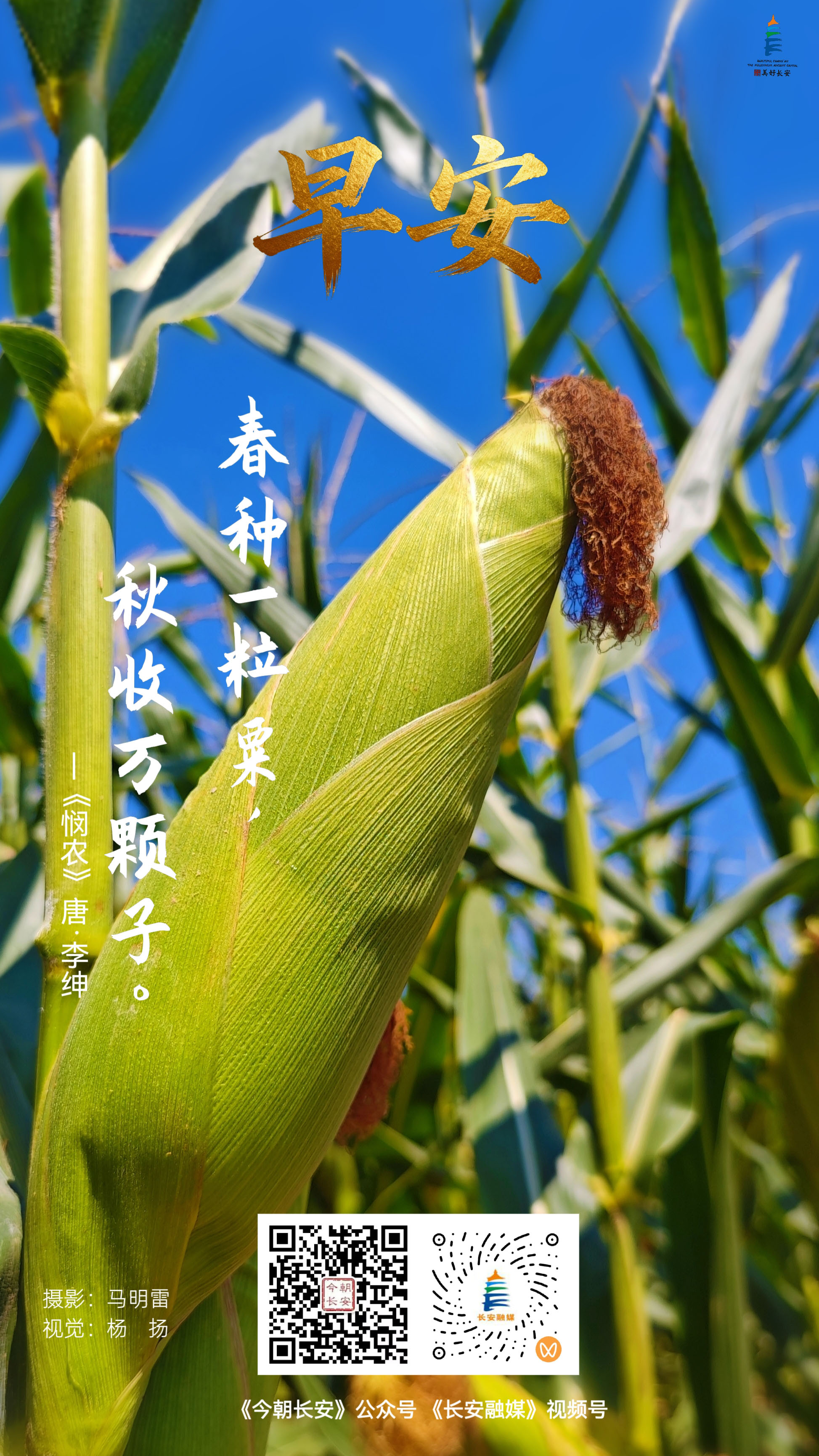 微信图片_20260909085846_11_11--.jpg