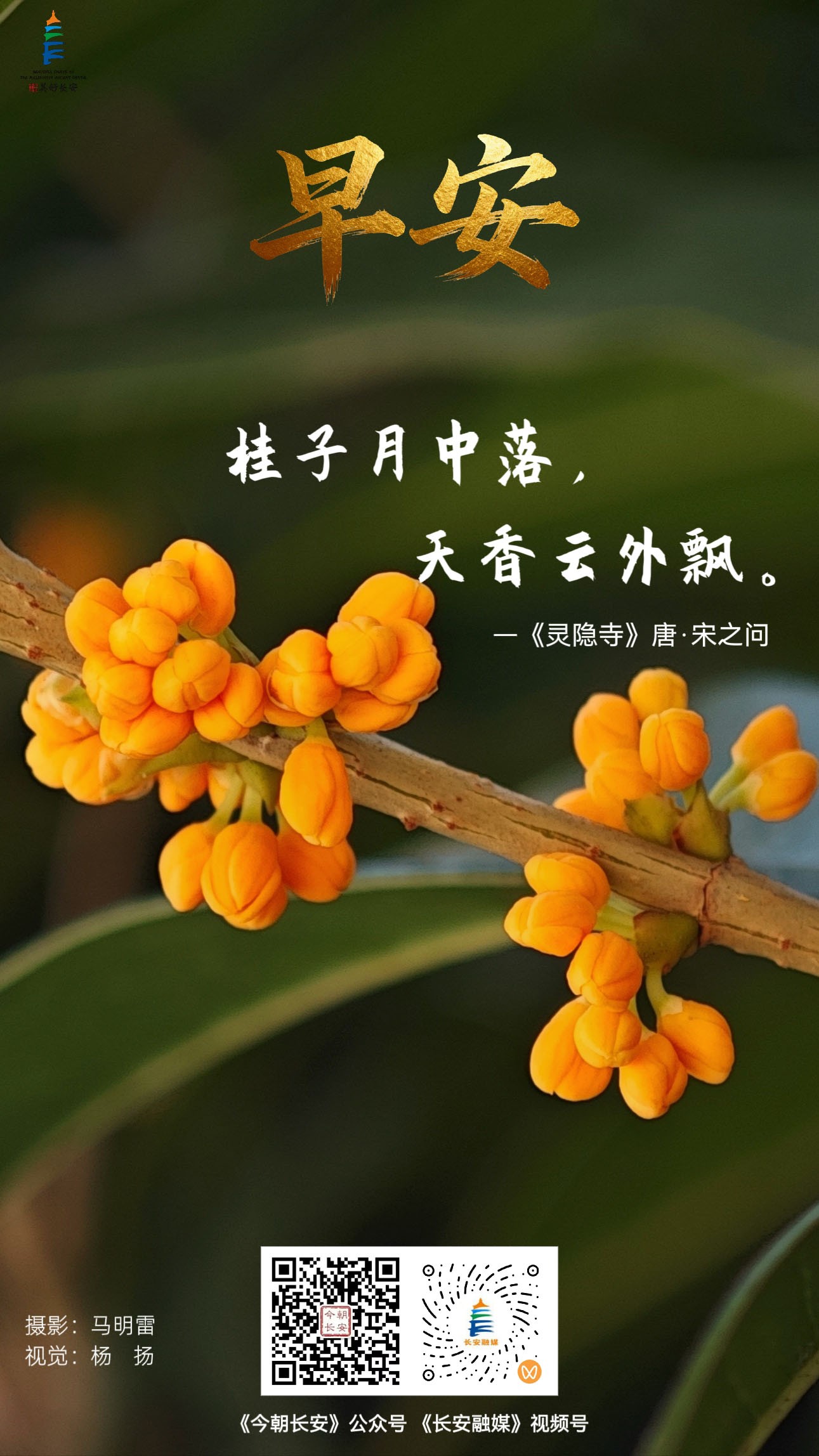 微信图片_20260912213515_21_185--.jpg
