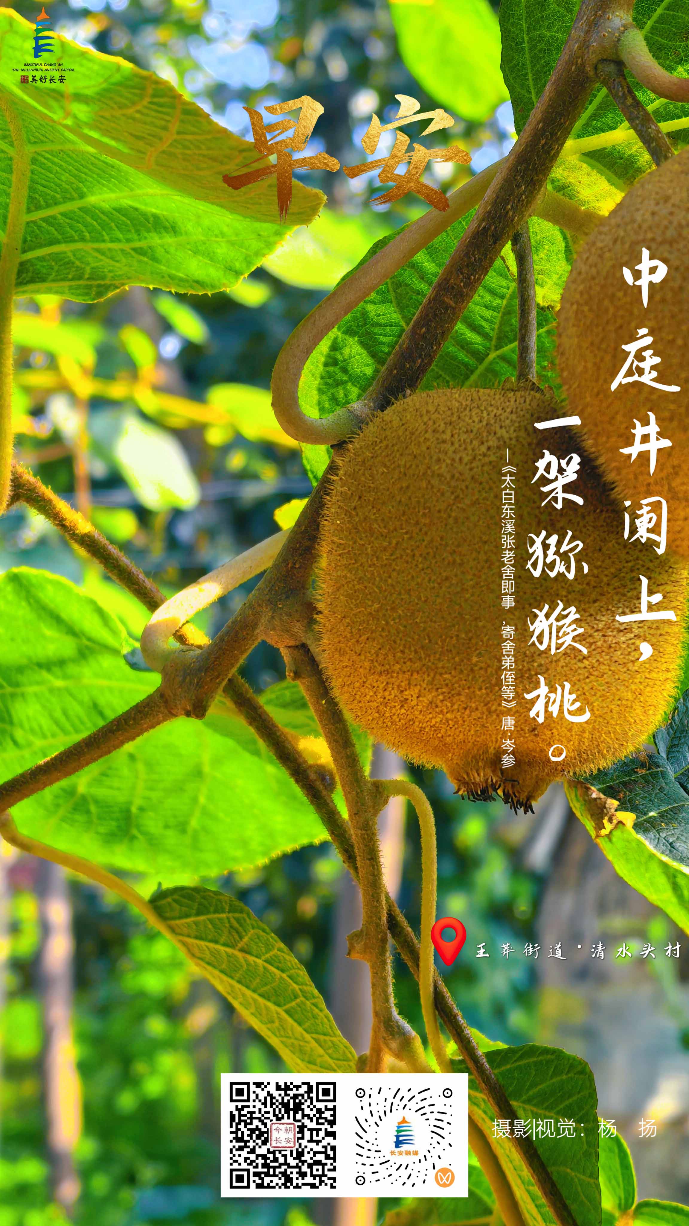 微信图片_20260920102902_72_185--.jpg