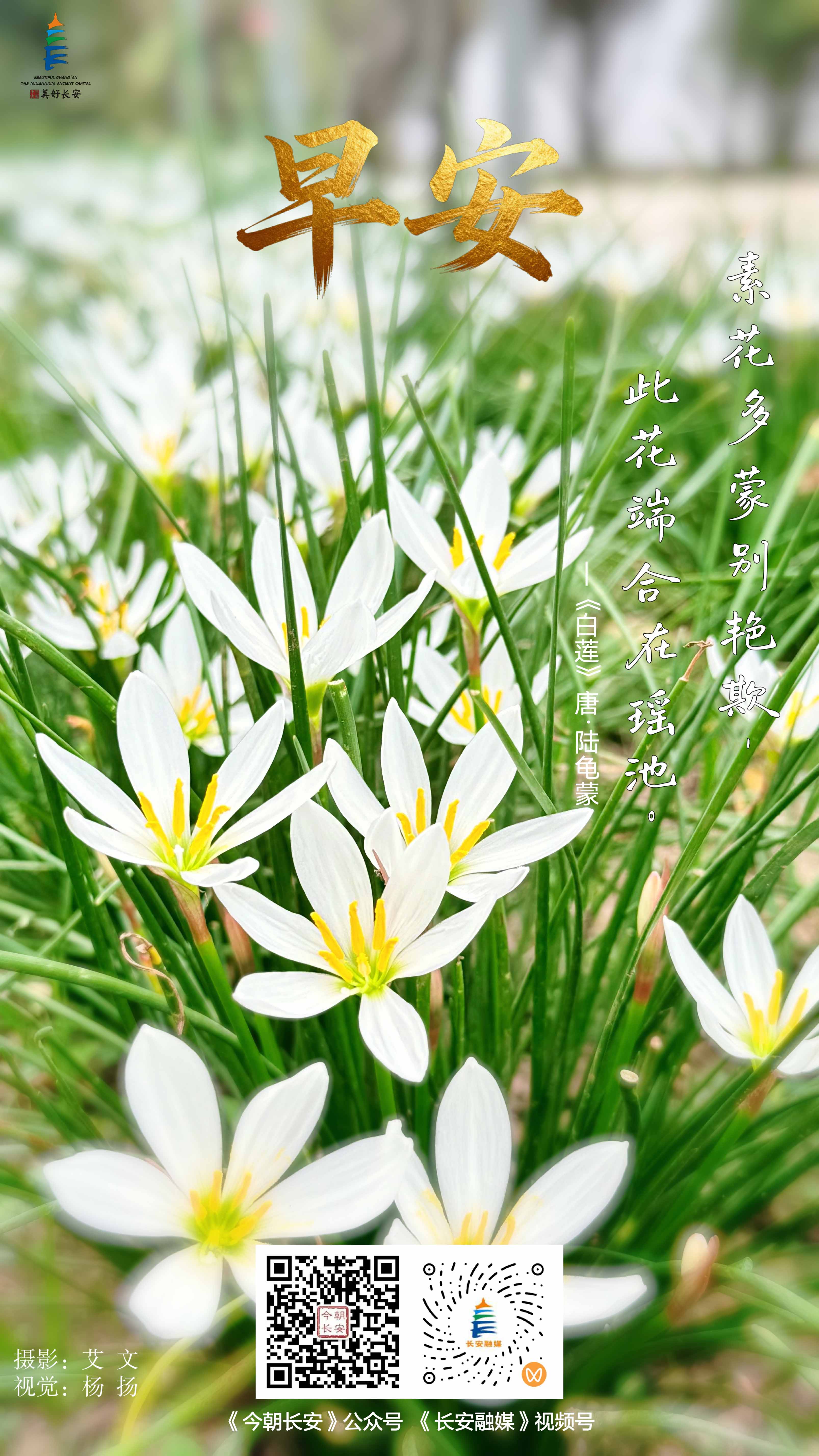 微信图片_20260927182141_92_185--.jpg