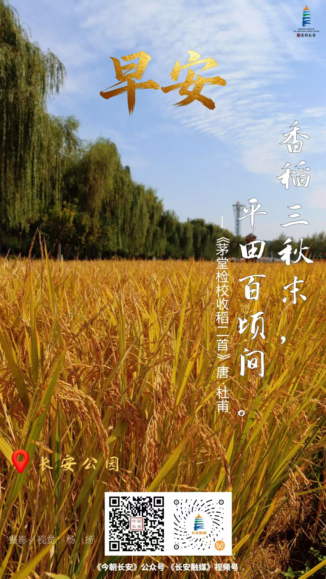 微信图片_20261009084132_4_2.jpg