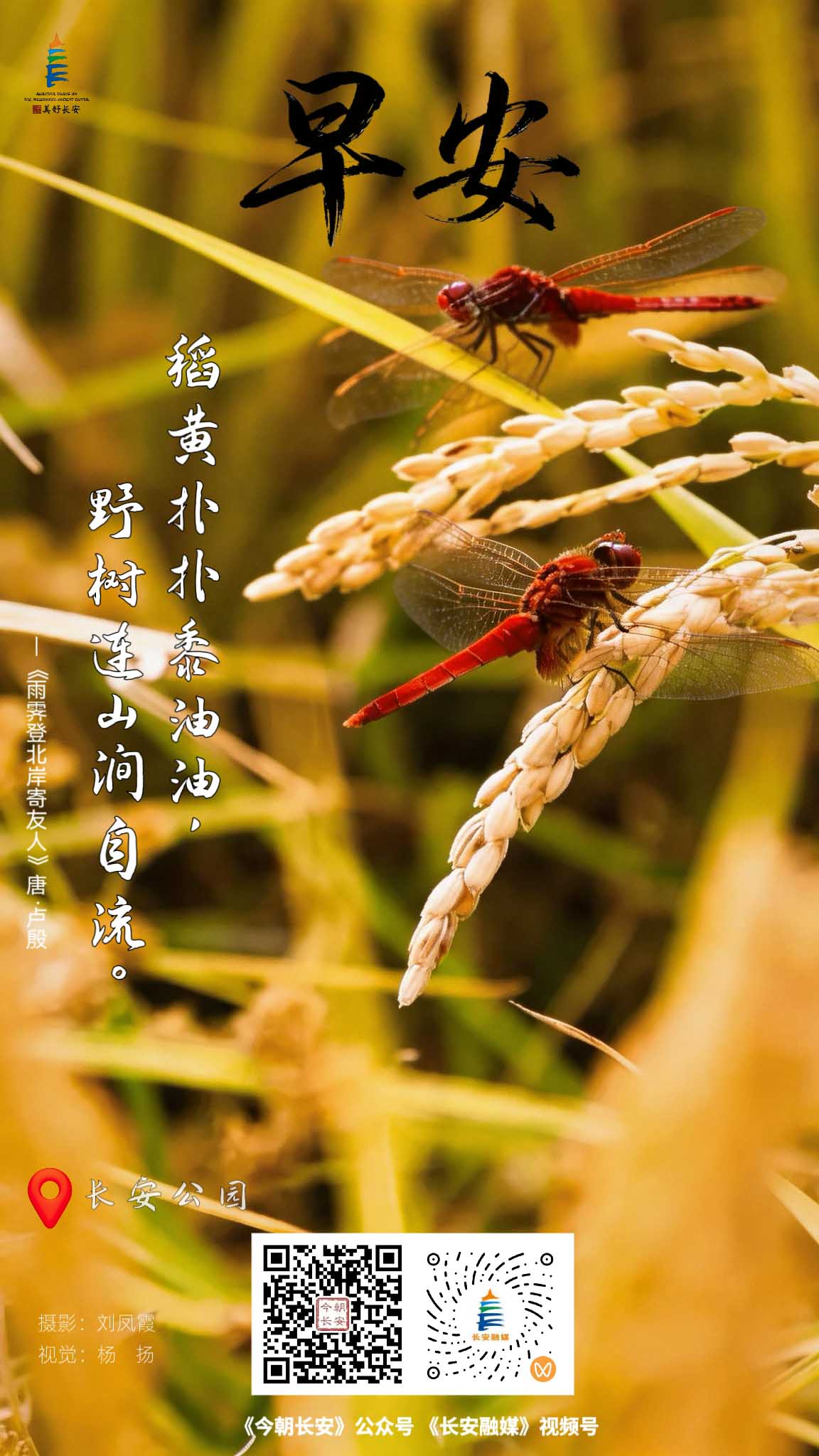 微信图片_20261011175953_156_185.jpg