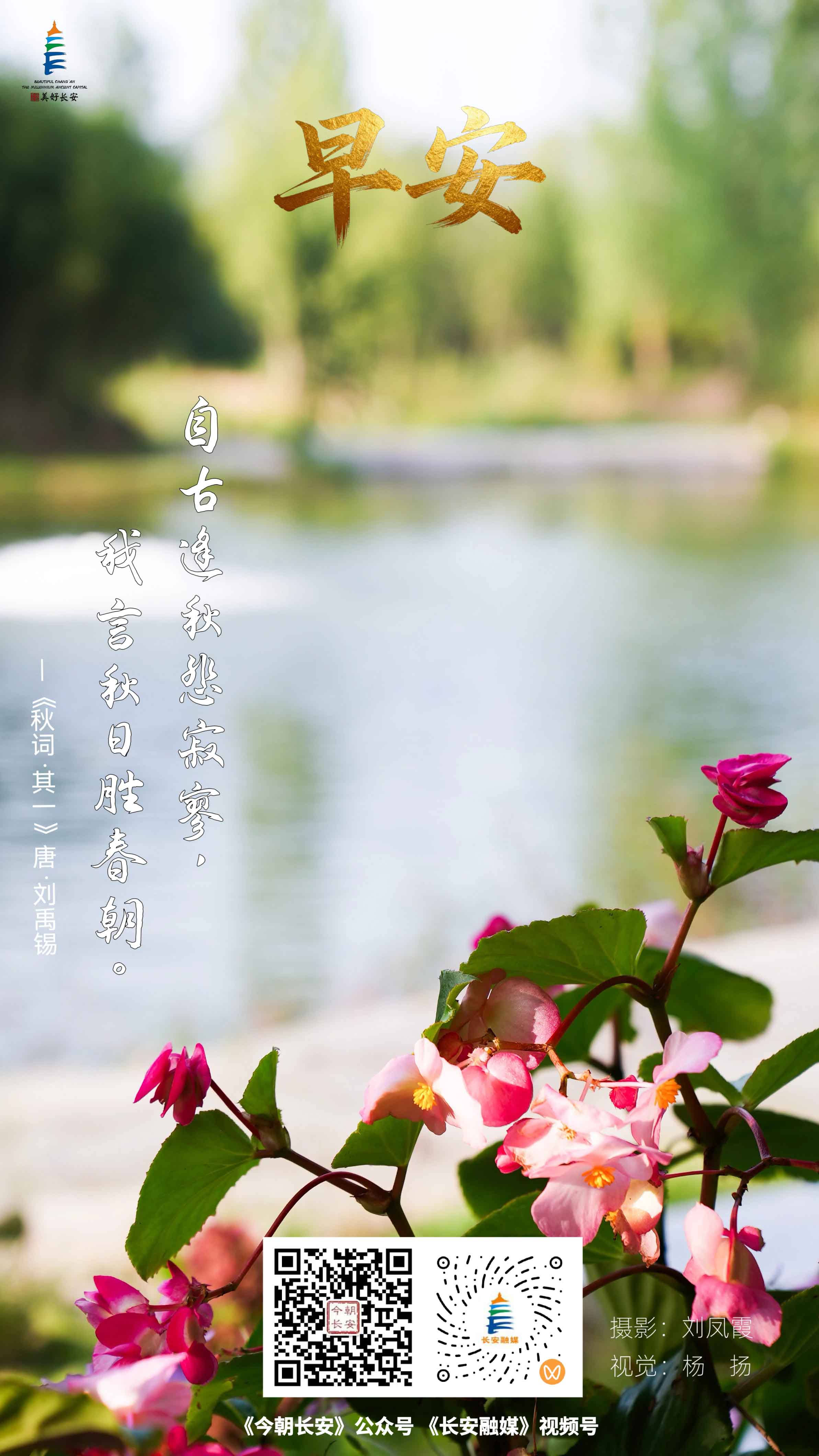 微信图片_20261018210402_221_185--.jpg