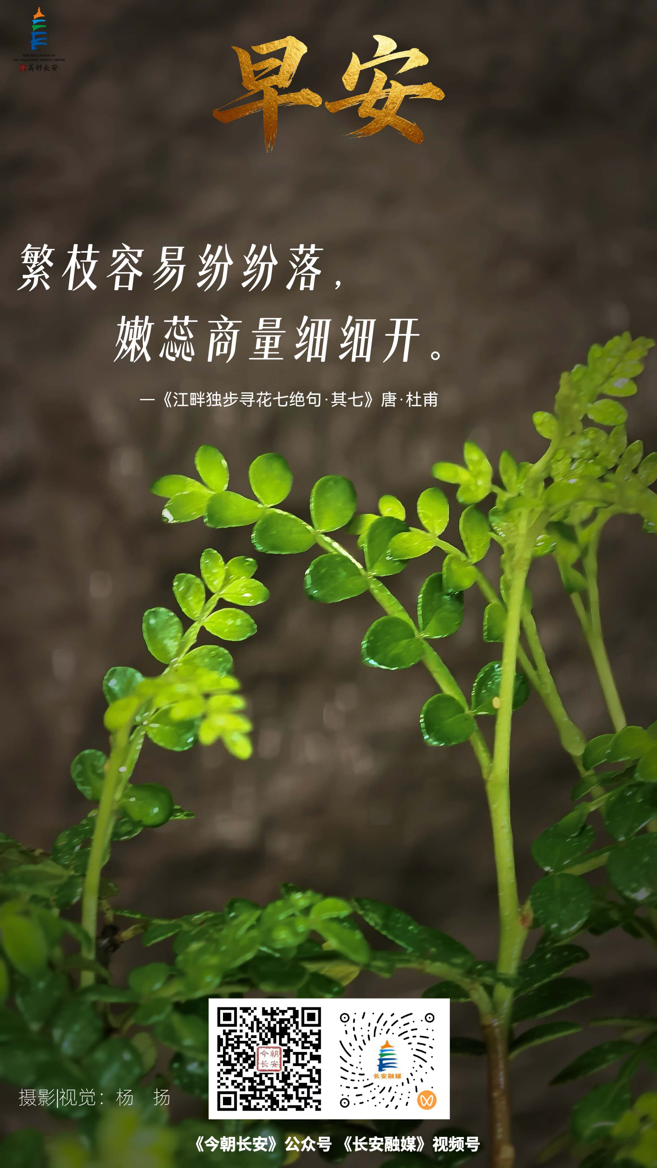 微信图片_20261025145029_242_185--.jpg
